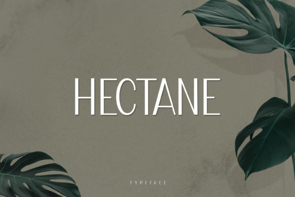 Hectane: A Modern Display Font for Editorial Design
