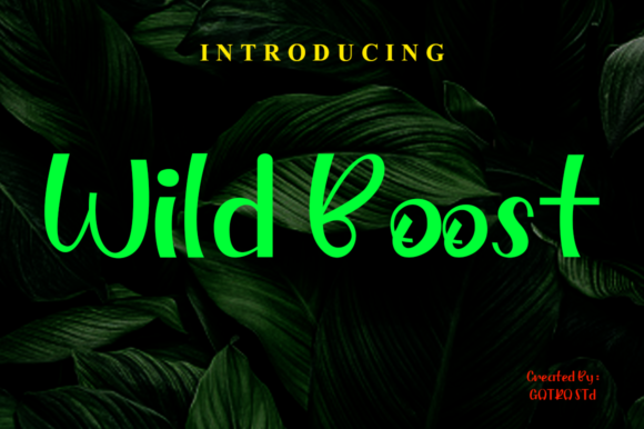 Wild Boost Font: A Playful Touch for Business Branding